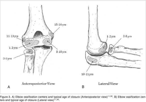 Blog, Dr. Josh Heenan, Injury Prevention Based, Performance Driven