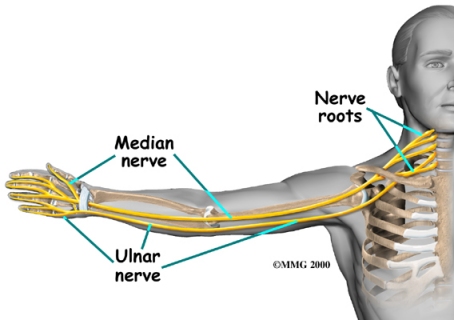 Blog, Dr. Josh Heenan, Injury Prevention Based, Performance Driven