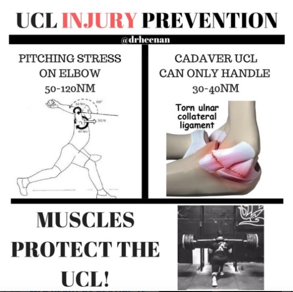 How To Stop Ucl Injuries The 90mph Formula Dr Josh Heenan